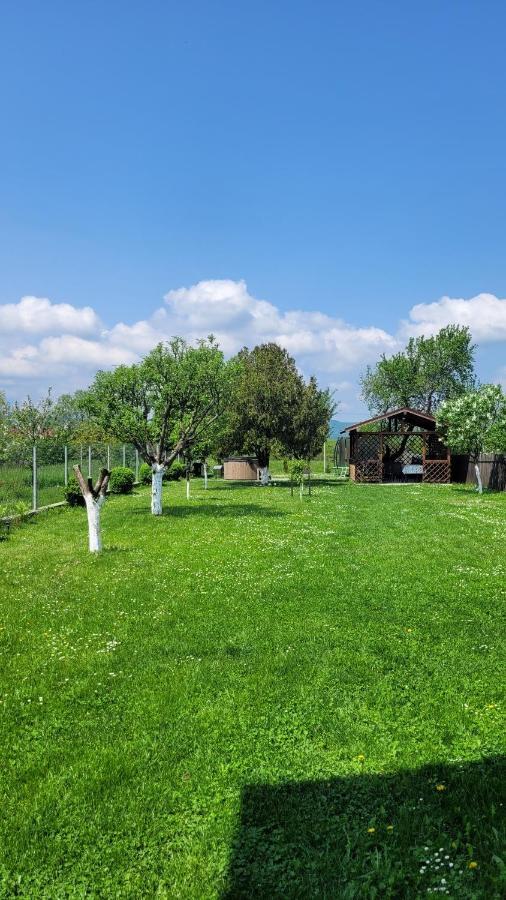 Casa Dana Villa Rîşnov Екстериор снимка
